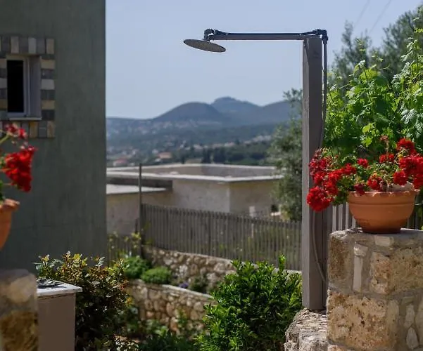 Apartmán Nikos & Vassilis Kefalonia *
