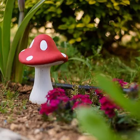 Nikos & Vassilis Kefalonia アパート Vlachata