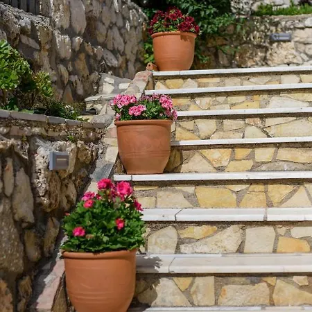 Nikos & Vassilis Kefalonia アパート Vlachata