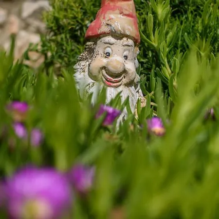 アパート Nikos & Vassilis Kefalonia *