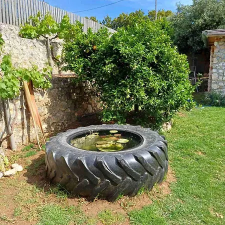 アパート Nikos & Vassilis Kefalonia *